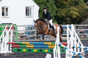 Class 6 - Fences not above 2'9